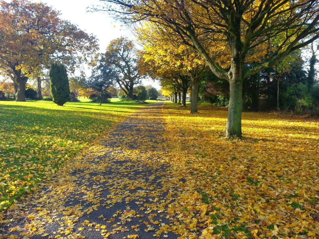 Autumnal Deer Park